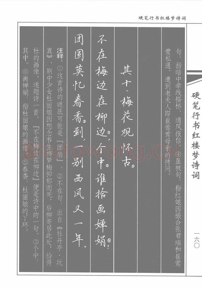 吴玉生硬笔行书字帖,摘自吴玉生硬笔行书红楼梦诗词