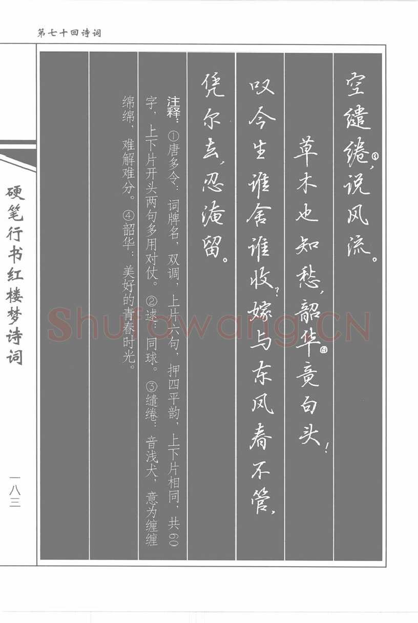 吴玉生硬笔行书字帖,摘自吴玉生硬笔行书红楼梦诗词