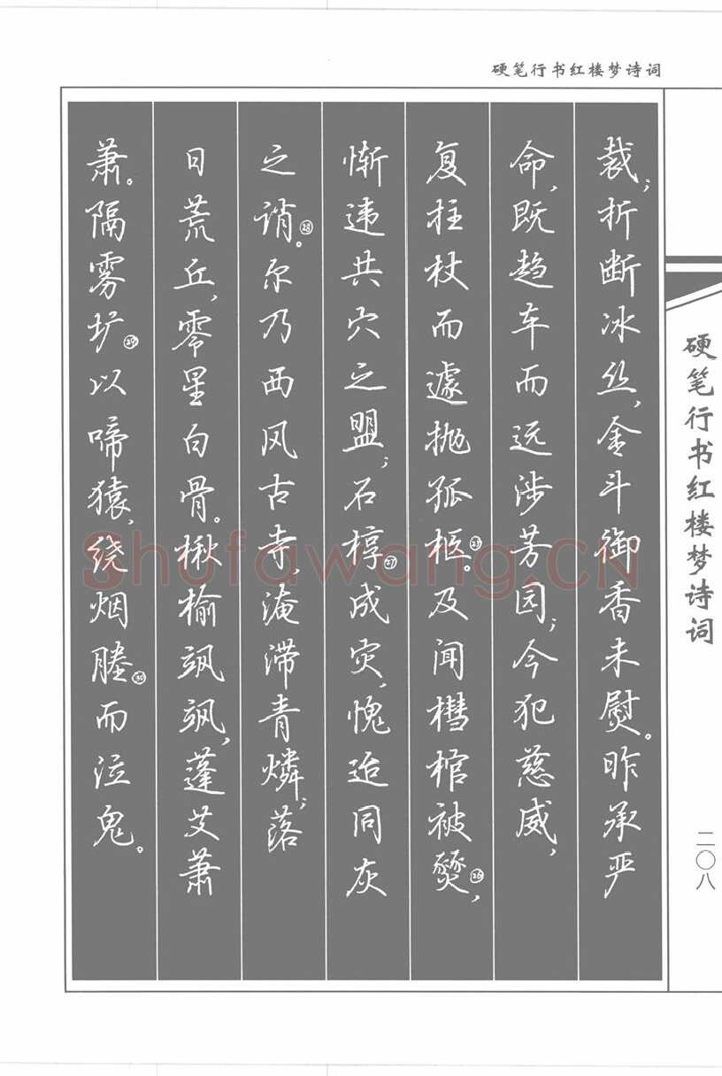 吴玉生硬笔行书字帖,摘自吴玉生硬笔行书红楼梦诗词