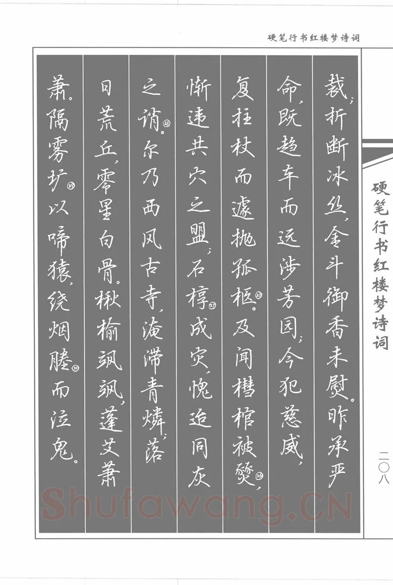 吴玉生硬笔行书字帖,摘自吴玉生硬笔行书红楼梦诗词