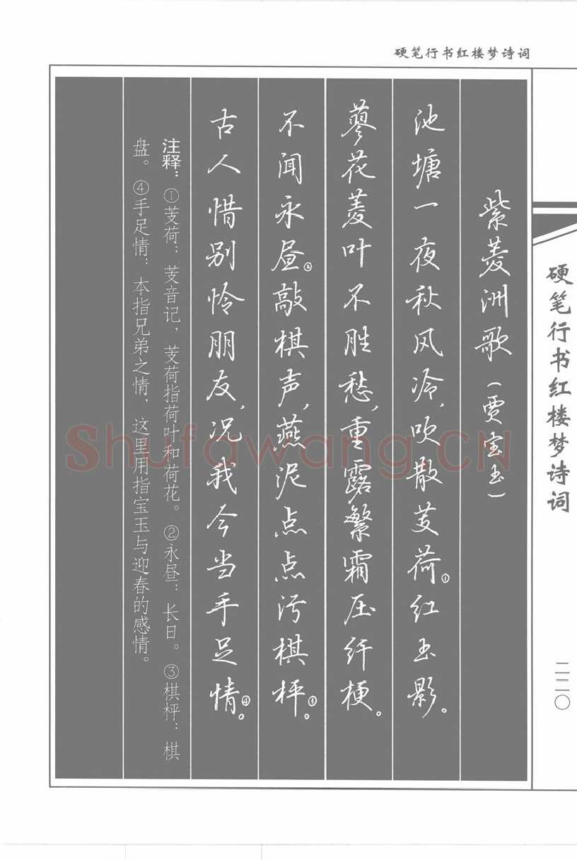 吴玉生硬笔行书字帖,摘自吴玉生硬笔行书红楼梦诗词