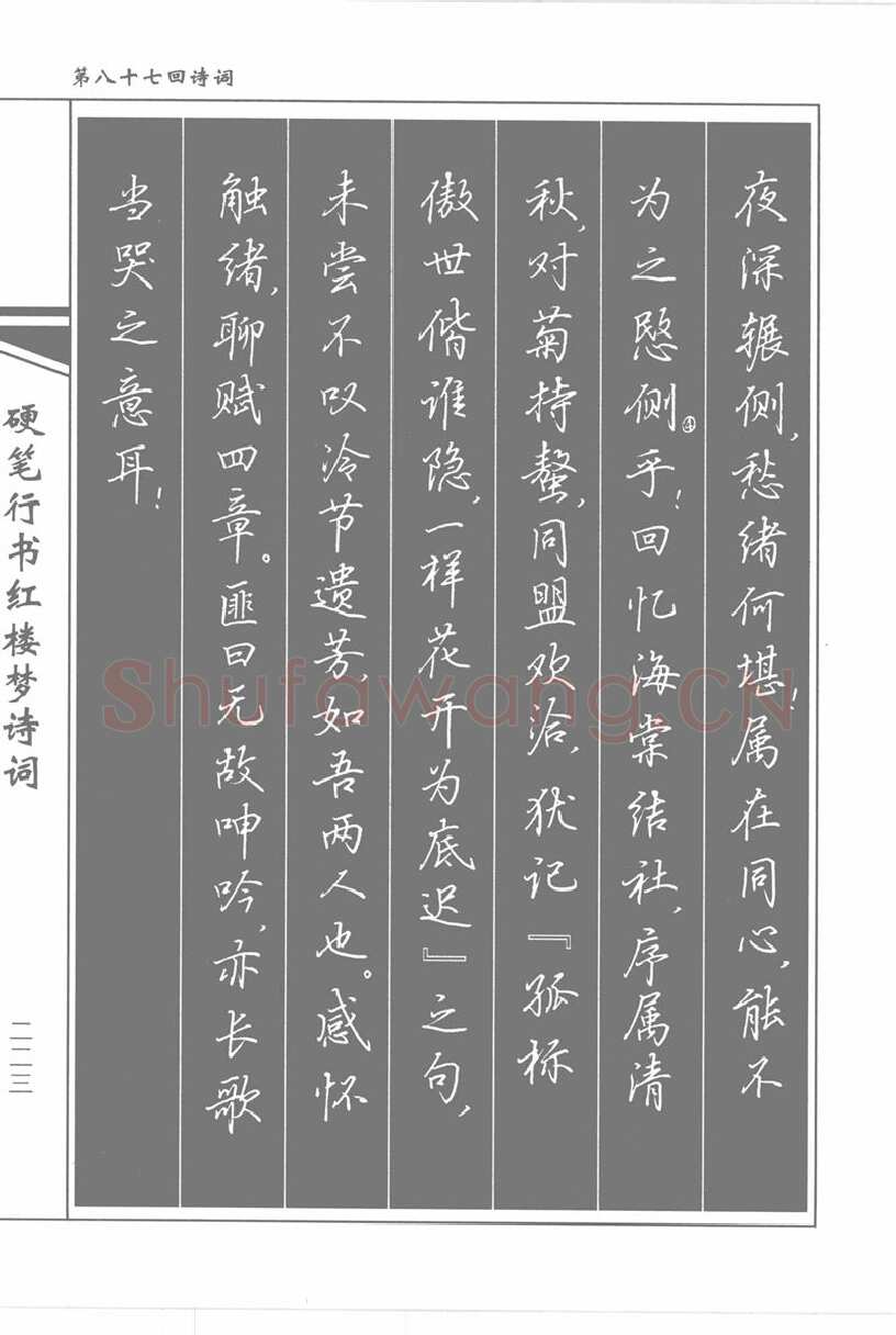 吴玉生硬笔行书字帖,摘自吴玉生硬笔行书红楼梦诗词