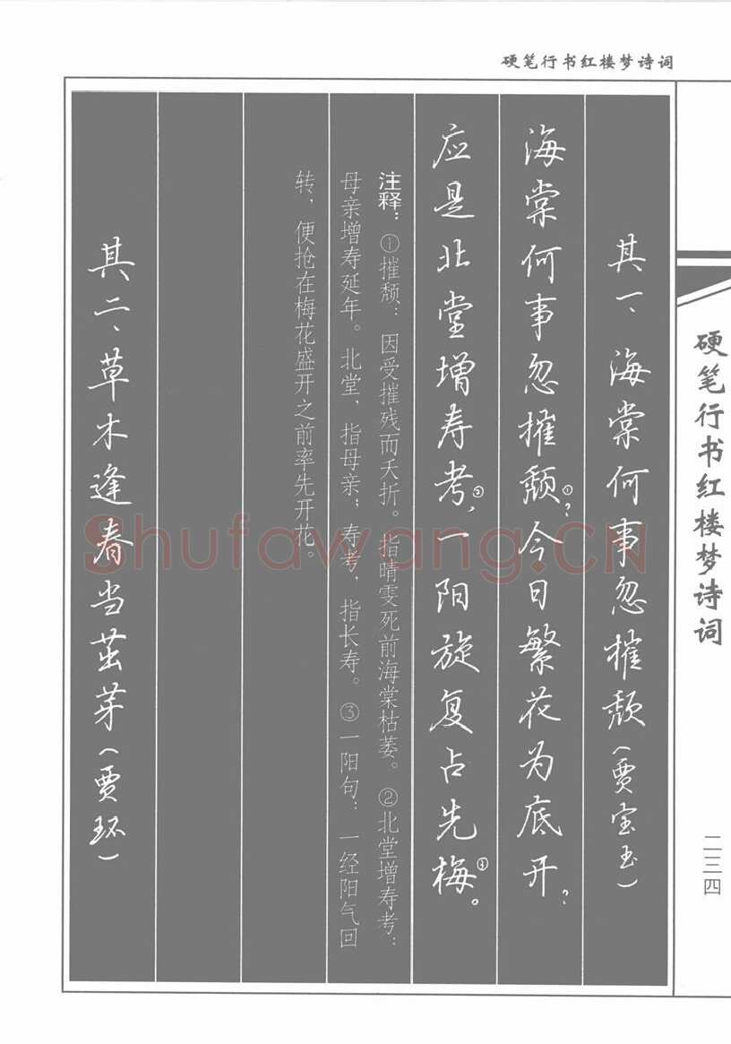 吴玉生硬笔行书字帖,摘自吴玉生硬笔行书红楼梦诗词