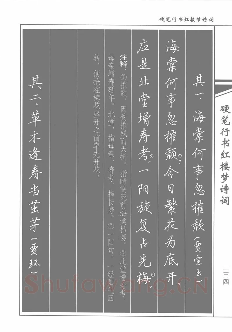 吴玉生硬笔行书字帖,摘自吴玉生硬笔行书红楼梦诗词