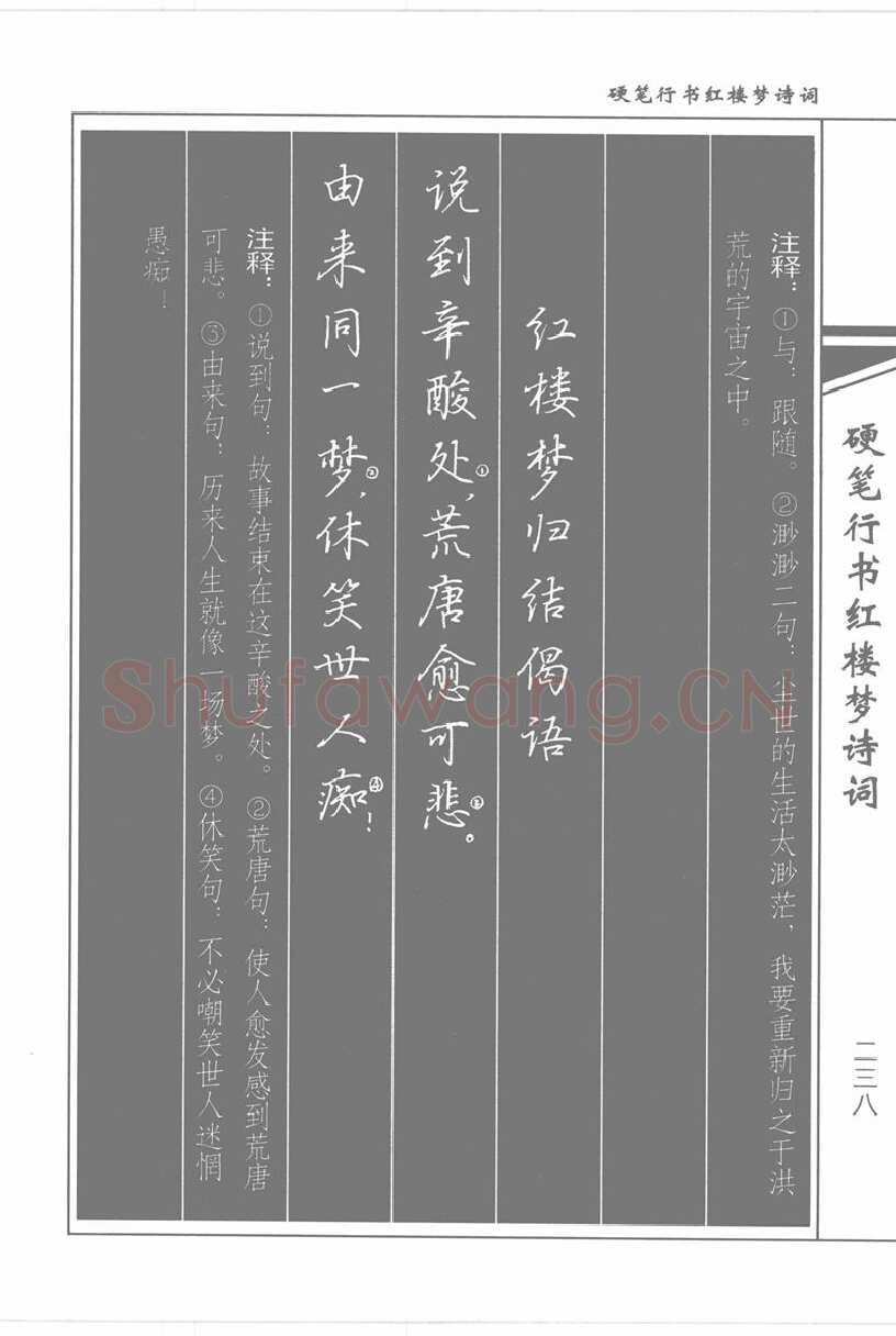 吴玉生硬笔行书字帖,摘自吴玉生硬笔行书红楼梦诗词