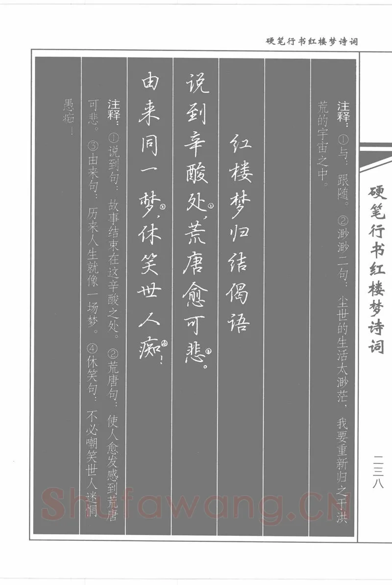吴玉生硬笔行书字帖,摘自吴玉生硬笔行书红楼梦诗词
