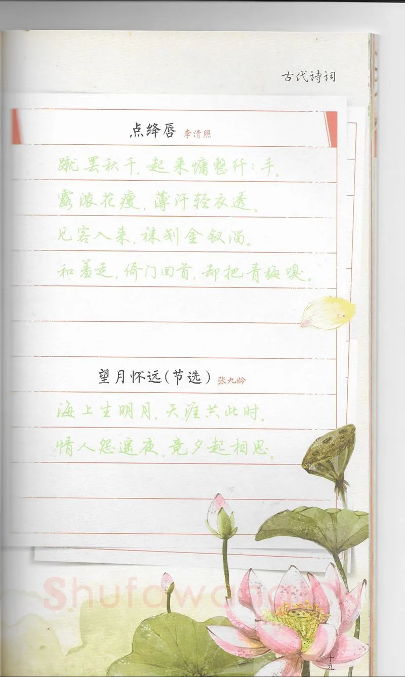 荆霄鹏硬笔行书字帖,摘自荆霄鹏习字小笺古代诗词行书字帖