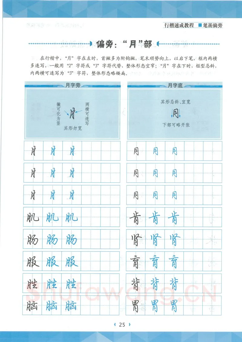荆霄鹏硬笔硬笔字帖,摘自荆霄鹏行楷速成教程字帖-笔画偏旁