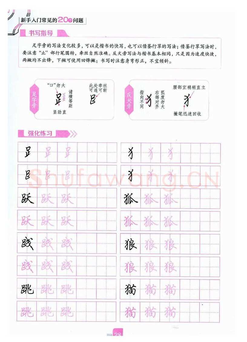 荆霄鹏硬笔硬笔字帖,摘自荆霄鹏《新手入门常见的20个问题》行楷