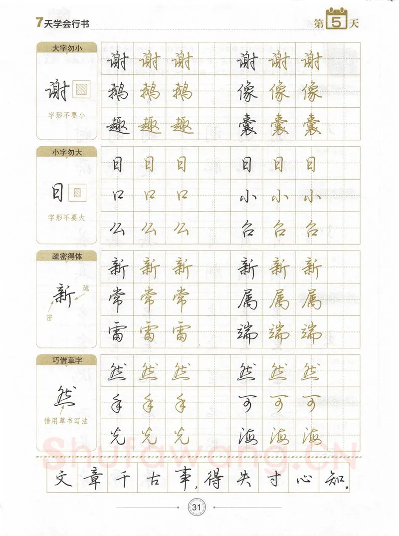 荆霄鹏硬笔行书字帖,摘自荆霄鹏《7天学会行书》字帖下载