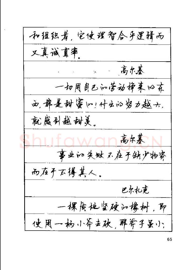 顾仲安硬笔楷书字帖,摘自顾仲安《罗兰小语》行楷字帖