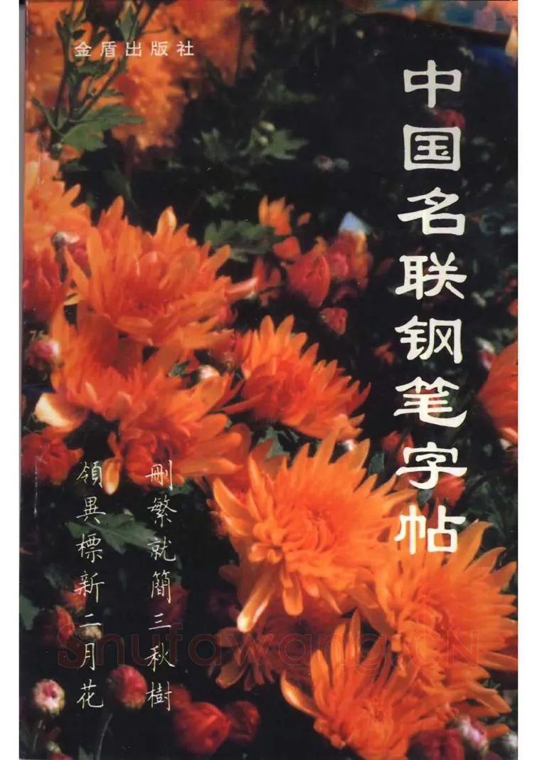 卢中南硬笔楷书字帖,摘自卢中南 中国名联钢笔字帖（金盾出版社）