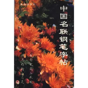 卢中南 中国名联钢笔字帖（金盾出版社）
