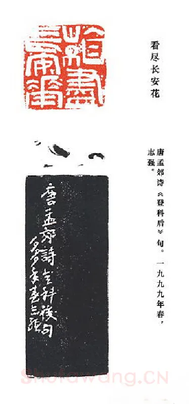 当代篆刻家(崔志强)人物介绍及篆刻作品欣赏