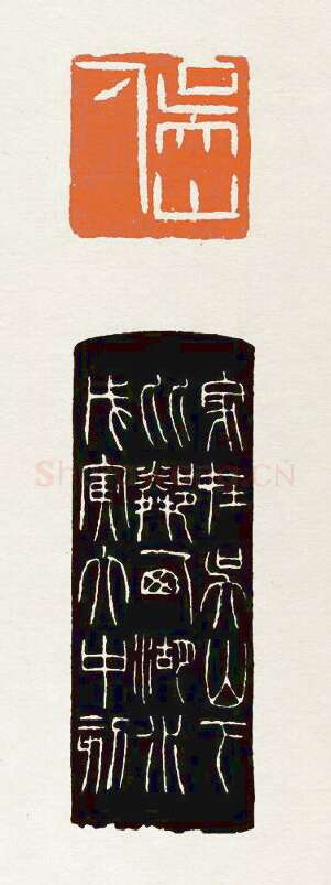 当代篆刻家(陈大中)人物介绍及篆刻作品欣赏