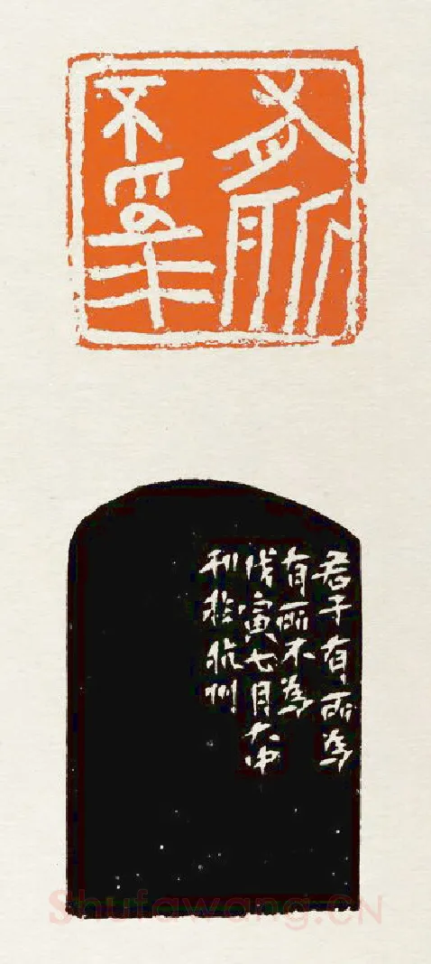 当代篆刻家(陈大中)人物介绍及篆刻作品欣赏
