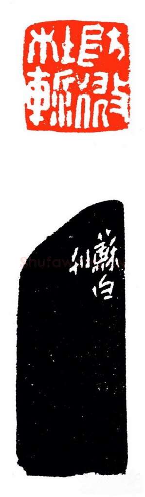 当代篆刻家(苏白)人物介绍及篆刻作品欣赏