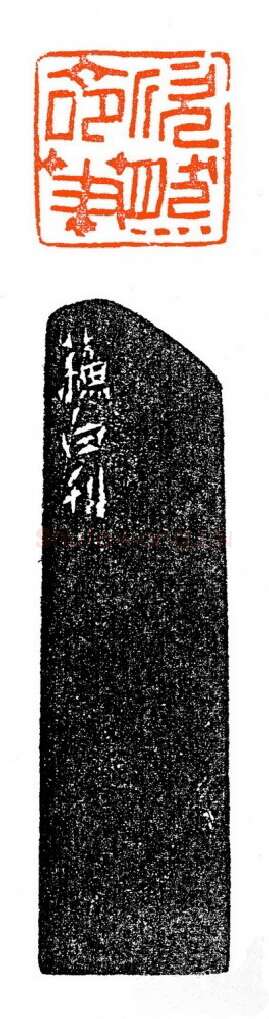 当代篆刻家(苏白)人物介绍及篆刻作品欣赏