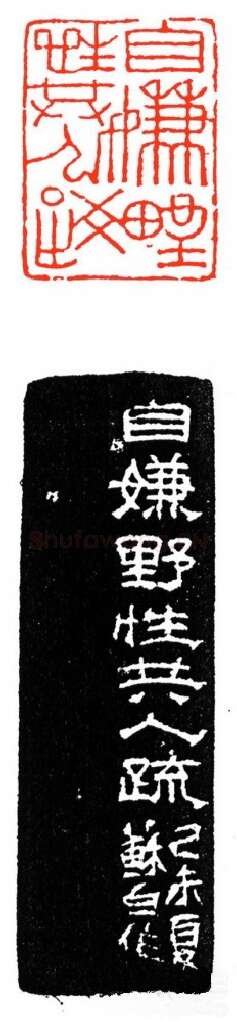 当代篆刻家(苏白)人物介绍及篆刻作品欣赏