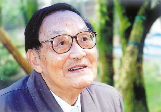 当代篆刻家(叶一苇)人物介绍及篆刻作品欣赏