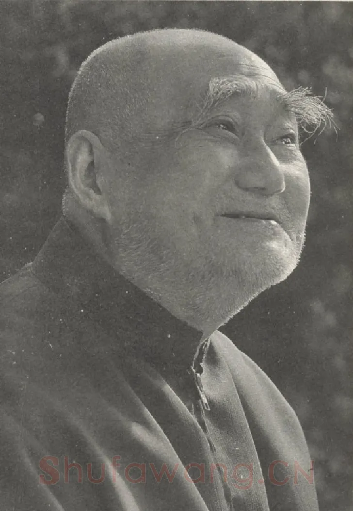 当代篆刻家(张寒月)人物介绍及篆刻作品欣赏