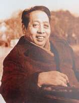 地奇星圣水将单廷圭 陆维钊（微昭）