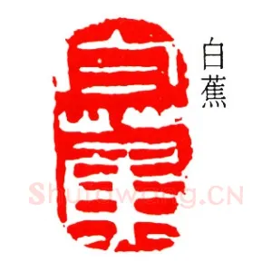 白蕉