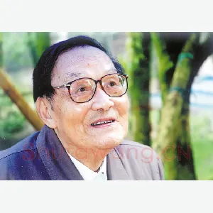 叶一苇