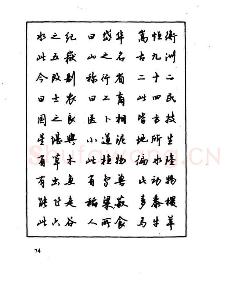 沈鸿根硬笔行书字帖,摘自沈鸿根 江鸟钢笔行书字帖