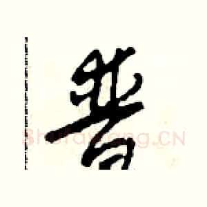 普