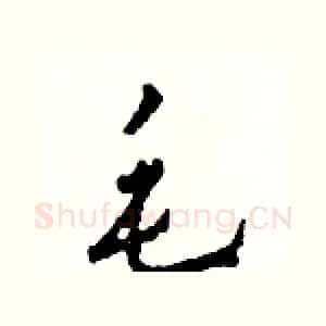 毛