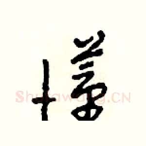 懂