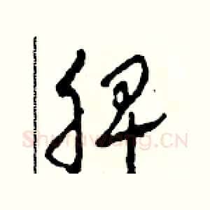 脾