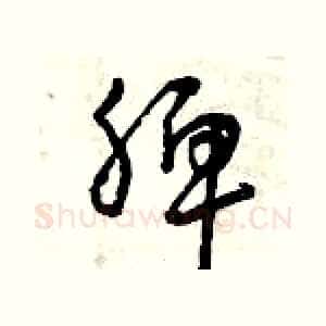 脾