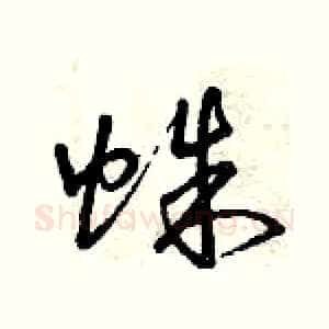 蛛