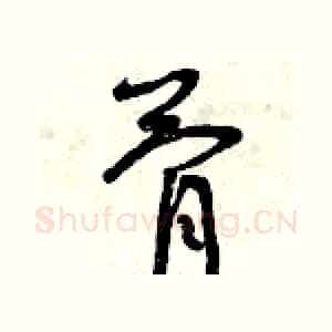 骨