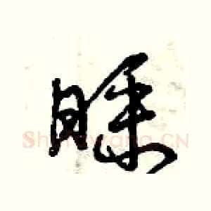睬