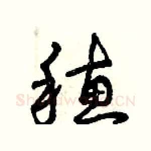 穗