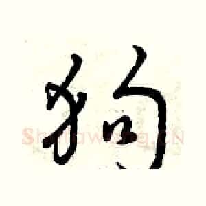 狗