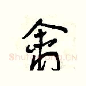 禽