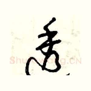 透