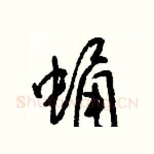 蛹