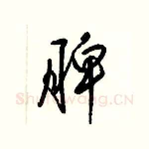 脾