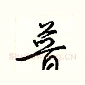 普