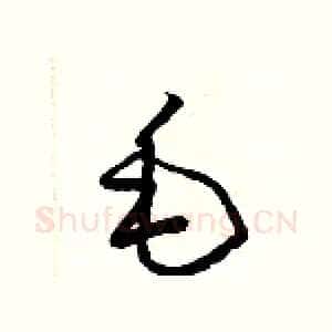 毛