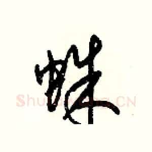 蛛