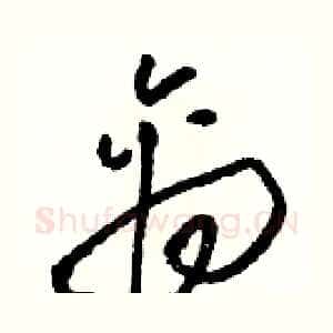 禽