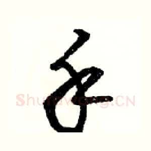 手