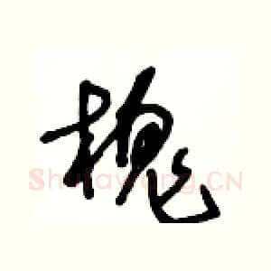 槐
