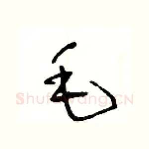 毛